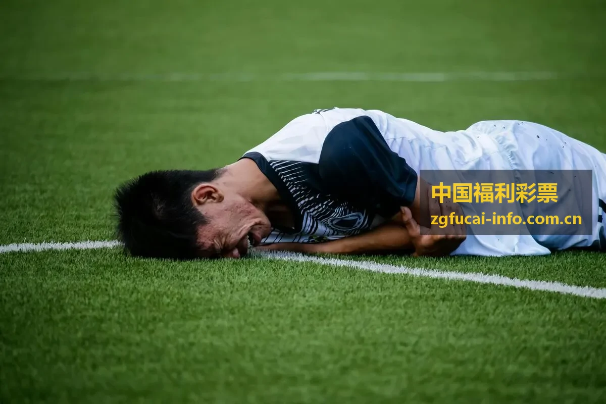 中国福利彩票双色球玩法封面