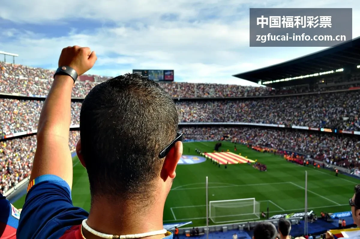 中国福利彩票福彩3D玩法封面